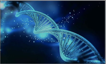 DNA Sarmalı Aktivasyonu 